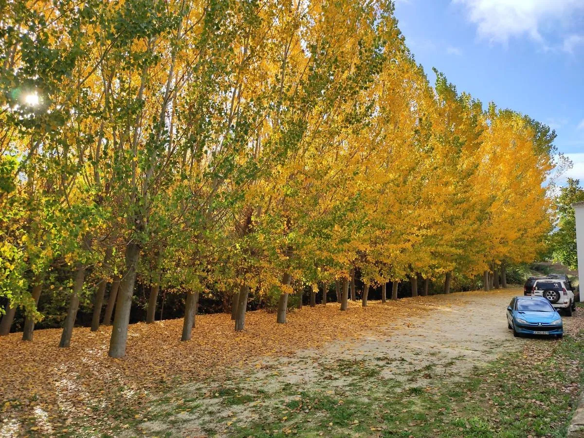 Apartamentos Rurales Molino de Abajo Ribera Baja  España