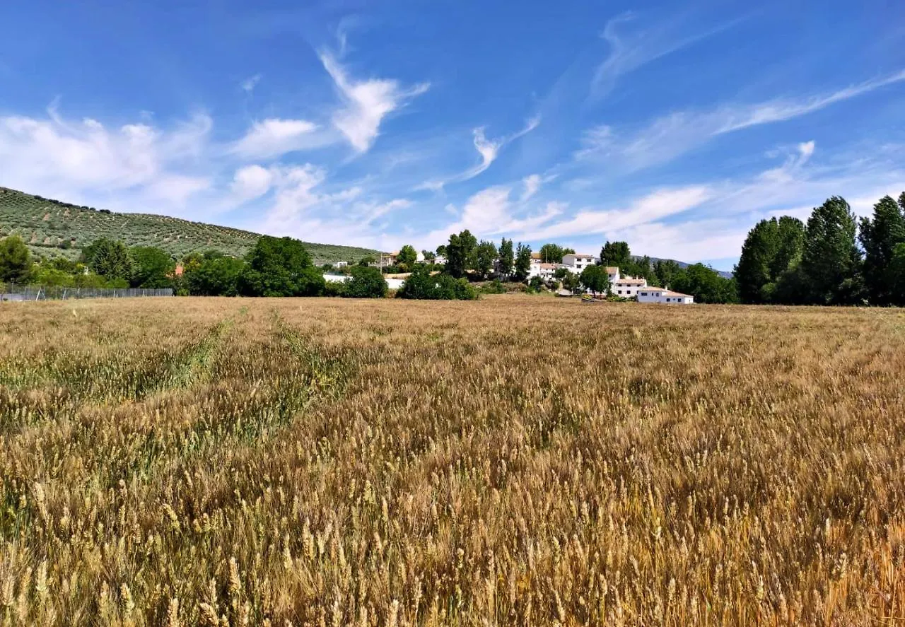 Apartman Complejo Apartamentos Rurales Molino De Abajo Ribera Baja  Spanyolország